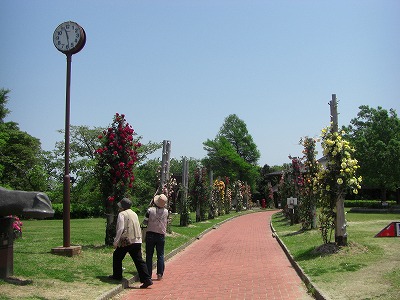 c0125501_5582630.jpg