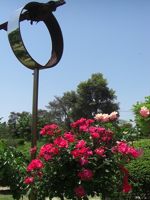 c0125501_633438.jpg