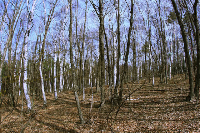 d0147002_0122443.jpg