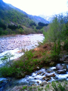 f0164003_11274135.jpg