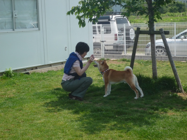 石川さんオフin毛呂山　[よっしー]　5月１０日　[日]_e0018604_12393527.jpg