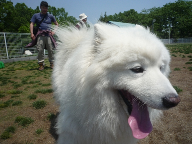 石川さんオフ会in毛呂山　　5月10日　　[日]_e0018604_21283371.jpg