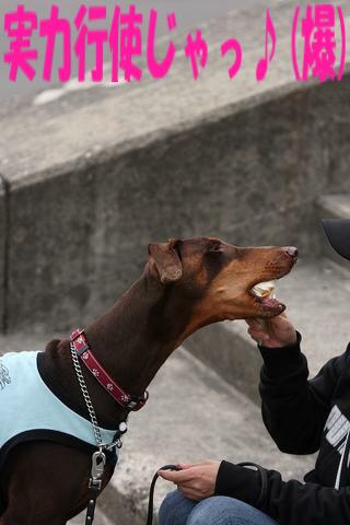 【白馬・犬ゲバツアー】最終章♪(／▽；)_e0100007_2203942.jpg