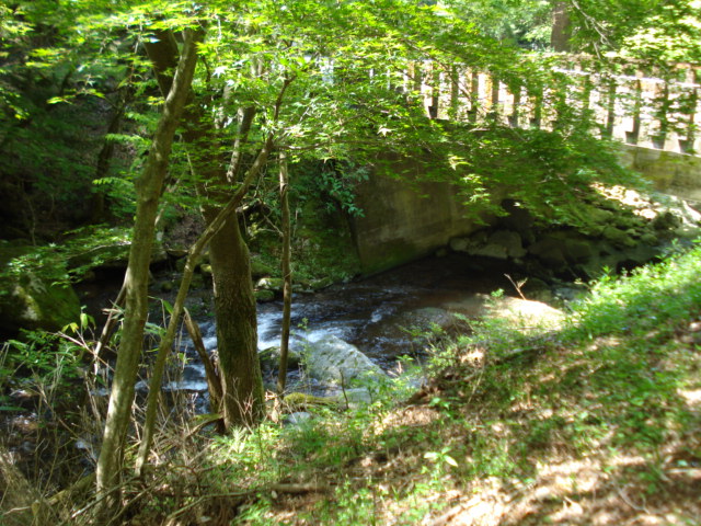 e0015108_811956.jpg