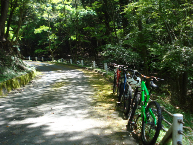 e0015108_815079.jpg