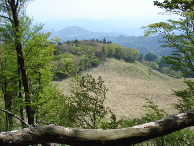 e0015108_851624.jpg