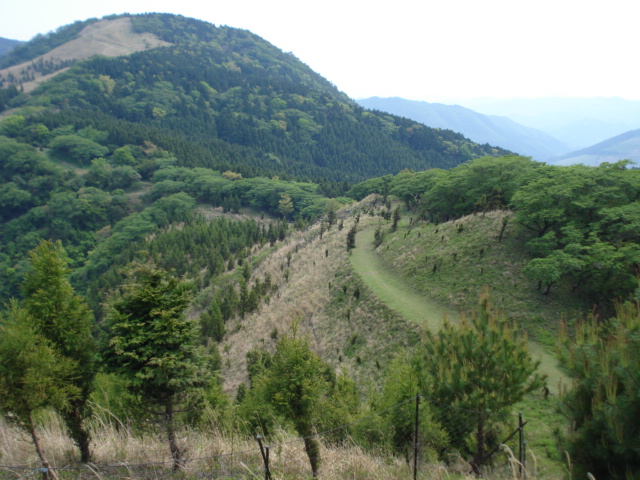 e0015108_8591917.jpg