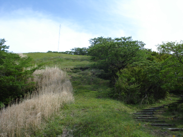 e0015108_9345643.jpg