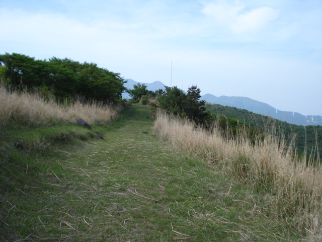 e0015108_9403449.jpg