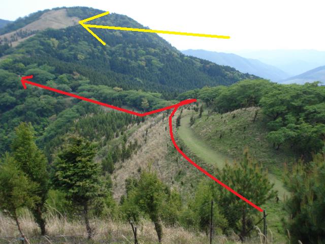 e0015108_94515.jpg