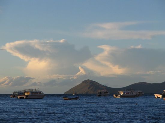b0051109_83237.jpg