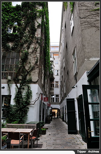 f0080510_1623937.jpg
