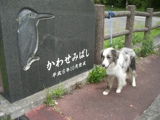 b0137913_22243737.jpg