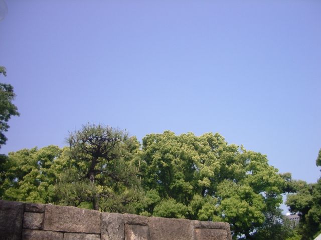 a0091314_8223074.jpg