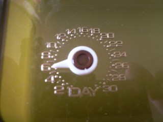 c0164514_1614521.jpg