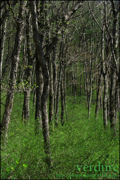 f0100215_2354278.jpg