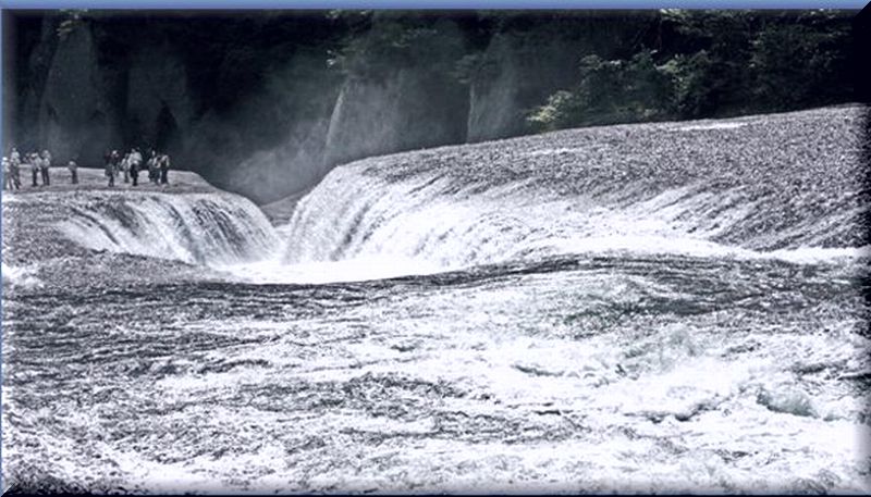 水芭蕉と吹割の滝_c0073016_1005864.jpg