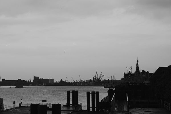 f0162319_5183443.jpg