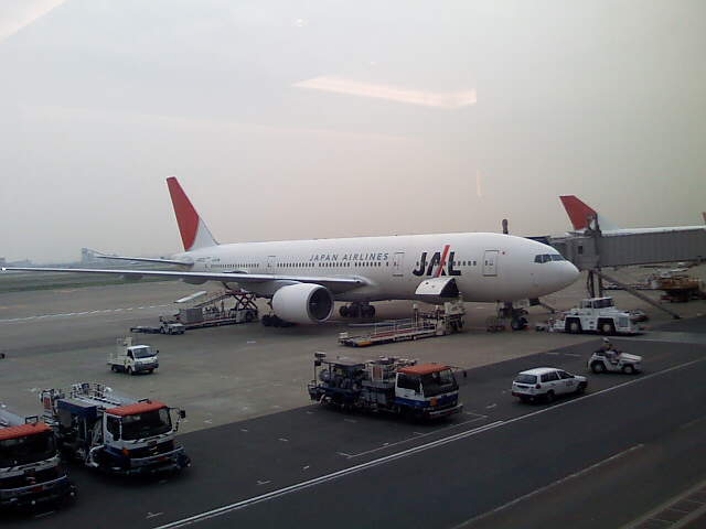 ＪＡＬ133便　ビジネス戦士のゆりかご_f0054720_208482.jpg