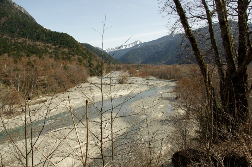 b0062024_8583654.jpg