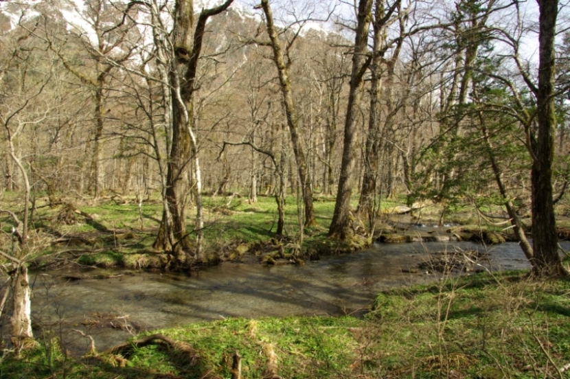 b0062024_904143.jpg