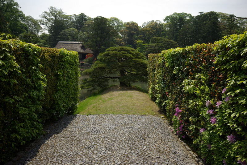 c0195327_2143776.jpg