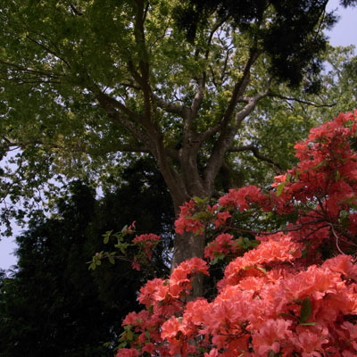 c0182231_10151929.jpg