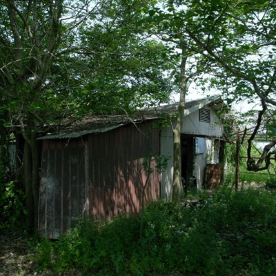 c0182231_10384553.jpg