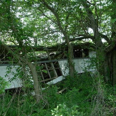 c0182231_10392360.jpg