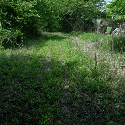 c0182231_1039286.jpg