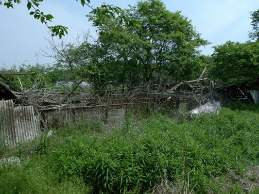 c0182231_10395478.jpg