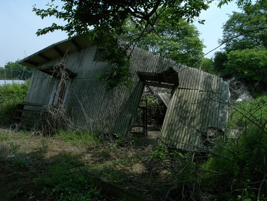 c0182231_1040512.jpg