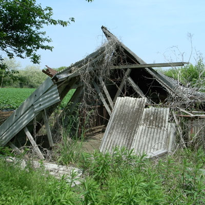 c0182231_10415844.jpg