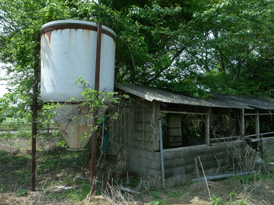 c0182231_1041835.jpg