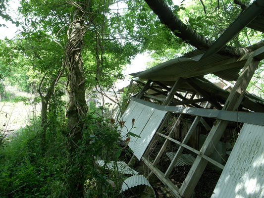 c0182231_10425049.jpg