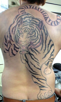 彫あい最新刺青画像・「虎」と「一匹龍」です。 : 刺青「初代 彫あい