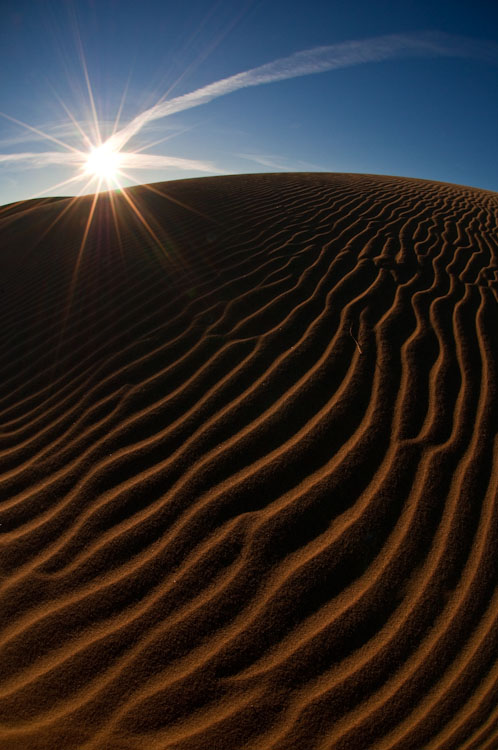 c0157739_96650.jpg