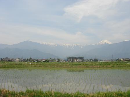 a0014840_21571149.jpg
