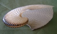 b0131046_11164350.jpg