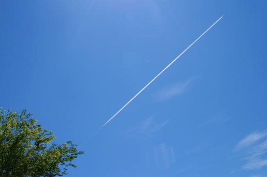e0126350_23142851.jpg