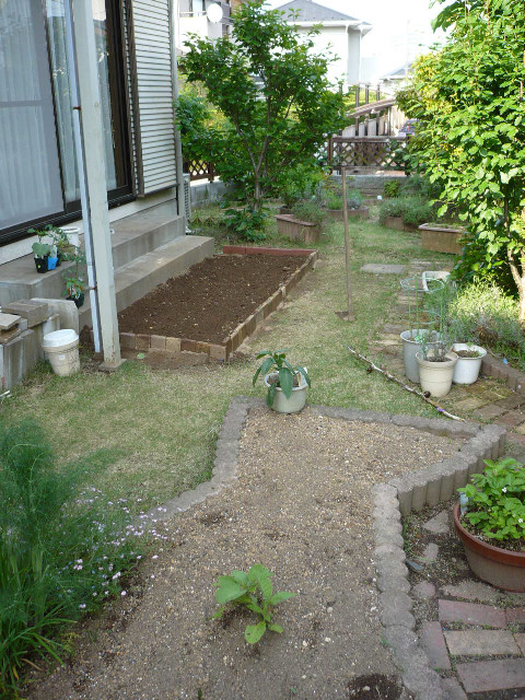 庭の花壇は畑に変更_f0193752_003723.jpg