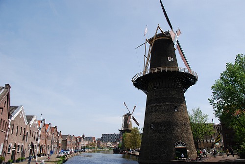 e0145753_4024.jpg