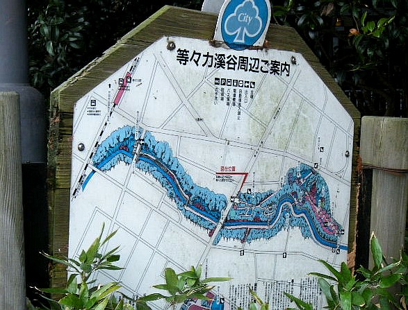 等々力渓谷公園へ_e0129656_2046753.jpg