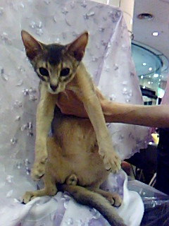 f0205856_86781.jpg