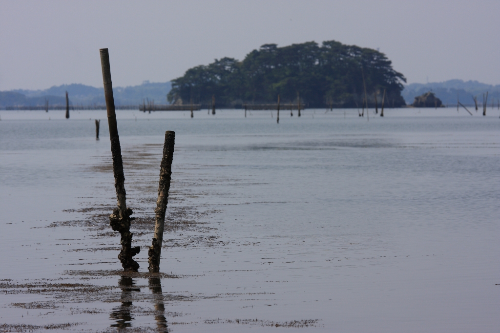 松島湾内一風景_c0167860_6205269.jpg