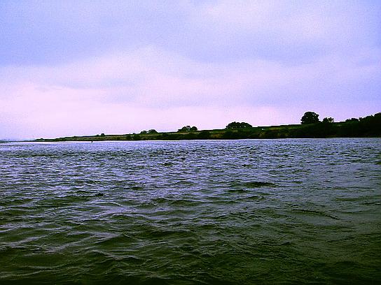 f0084561_13421826.jpg