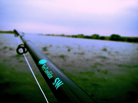 f0084561_13424363.jpg
