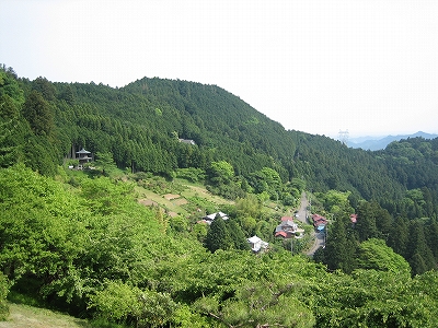 山笑う_c0074067_2318462.jpg