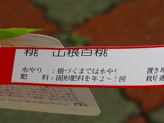 e0160568_1130568.jpg