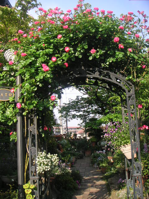 b0175571_2345334.jpg